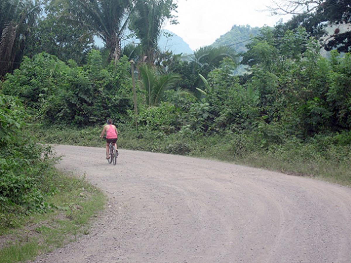 Omega Tours Eco-Jungle Lodge La Ceiba Zewnętrze zdjęcie
