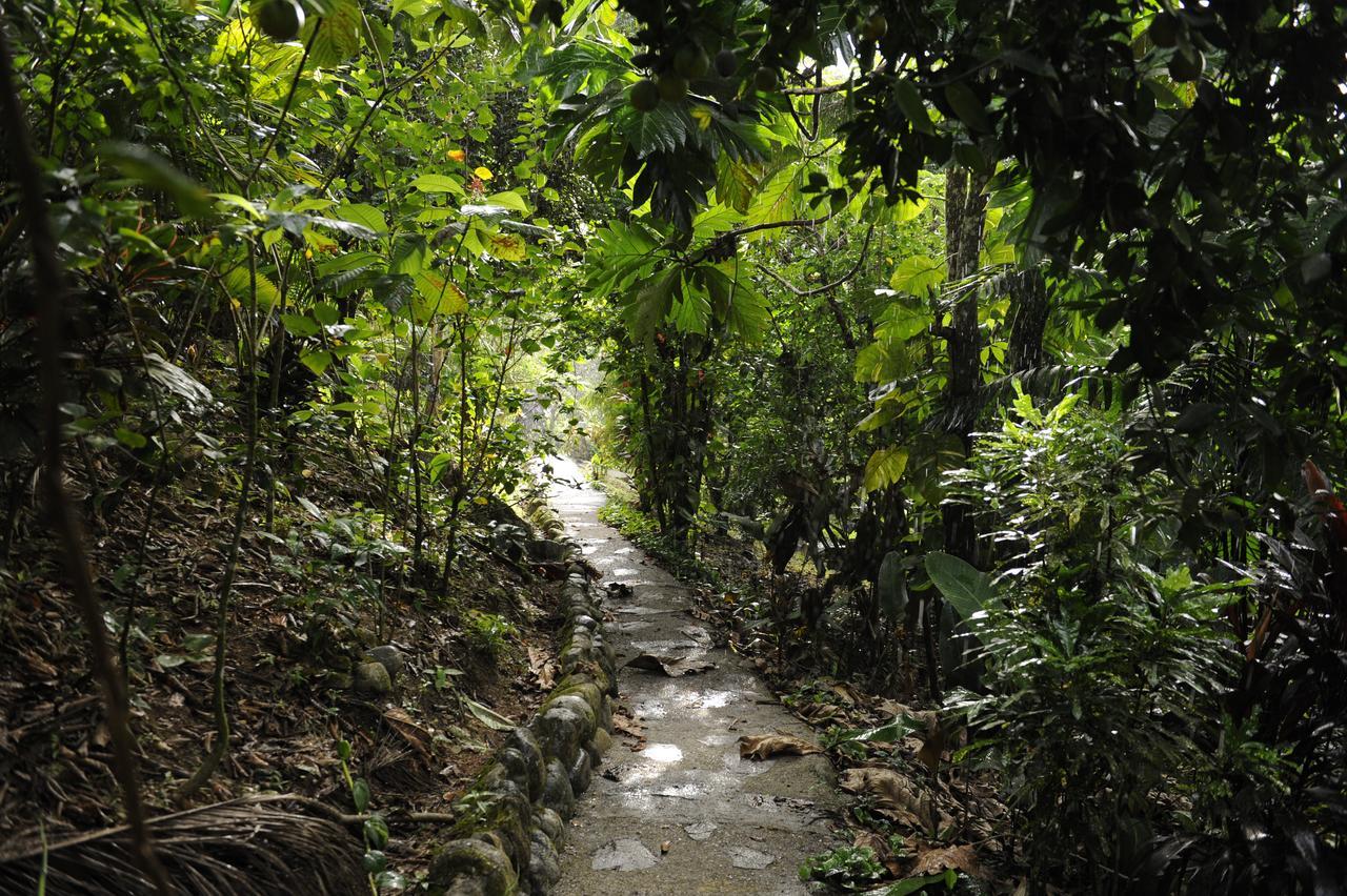 Omega Tours Eco-Jungle Lodge La Ceiba Zewnętrze zdjęcie