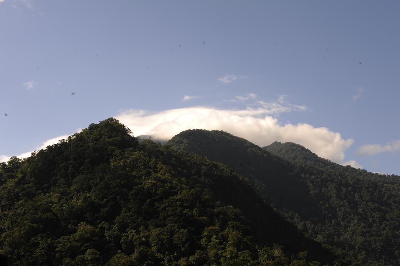 Omega Tours Eco-Jungle Lodge La Ceiba Zewnętrze zdjęcie