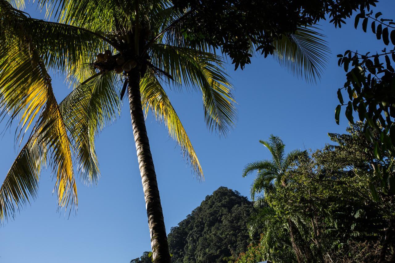 Omega Tours Eco-Jungle Lodge La Ceiba Zewnętrze zdjęcie