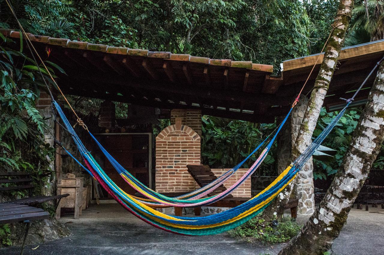 Omega Tours Eco-Jungle Lodge La Ceiba Zewnętrze zdjęcie