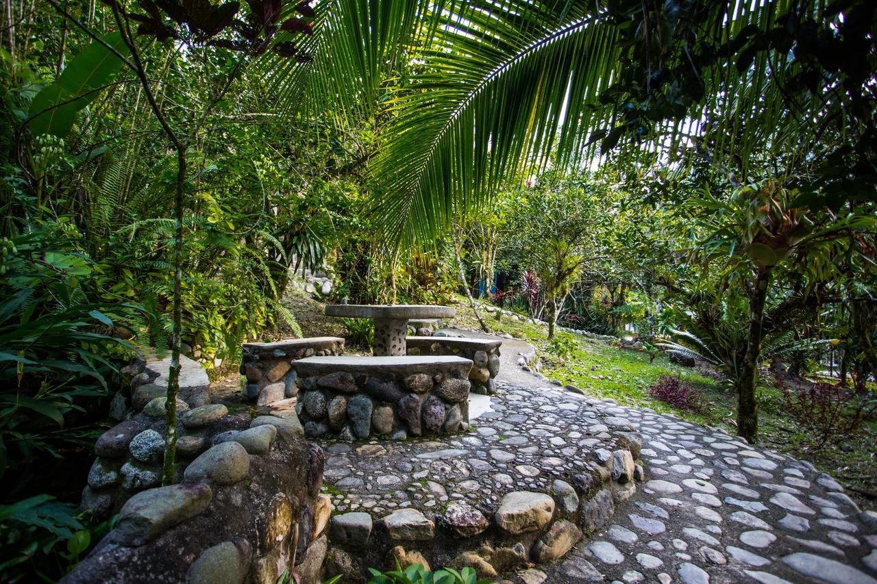 Omega Tours Eco-Jungle Lodge La Ceiba Zewnętrze zdjęcie