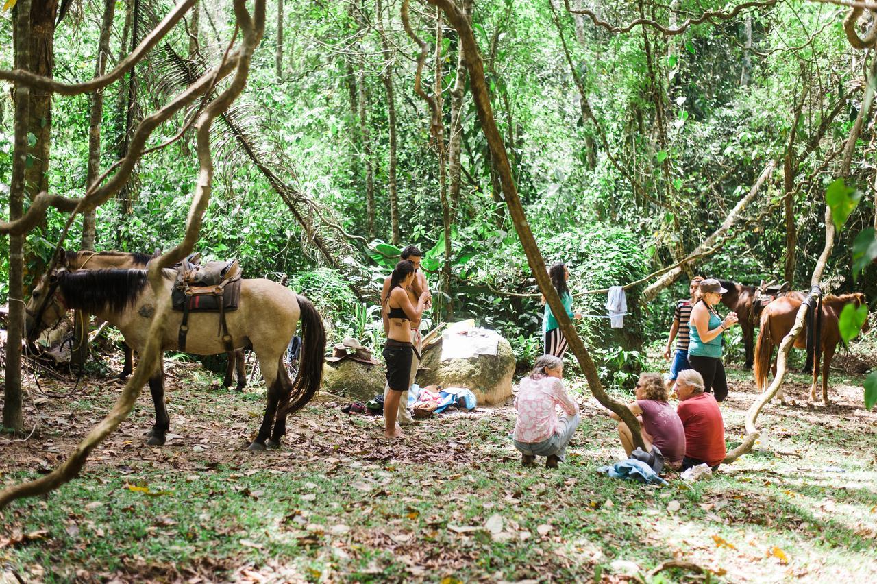 Omega Tours Eco-Jungle Lodge La Ceiba Zewnętrze zdjęcie