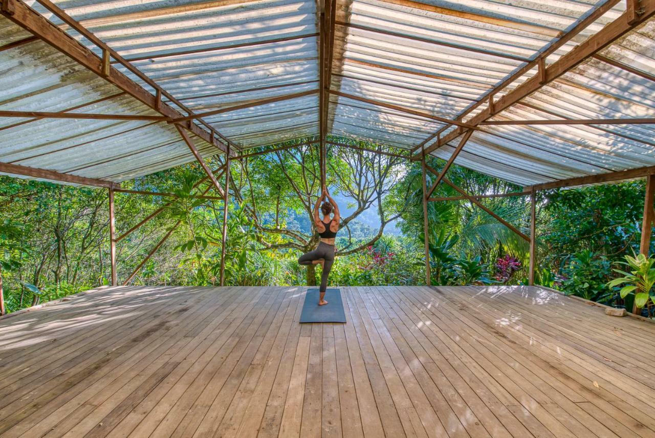 Omega Tours Eco-Jungle Lodge La Ceiba Zewnętrze zdjęcie